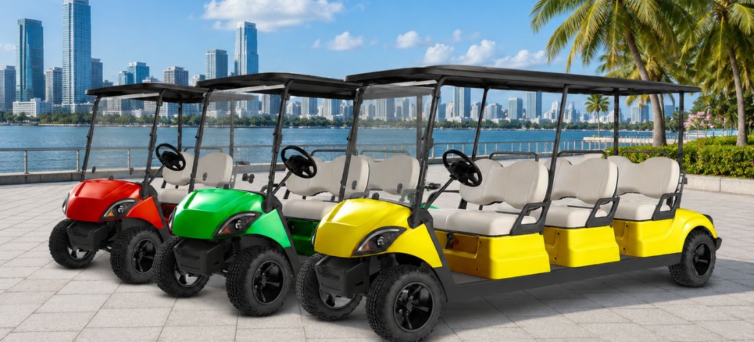 Electric Buggy Buying Guide