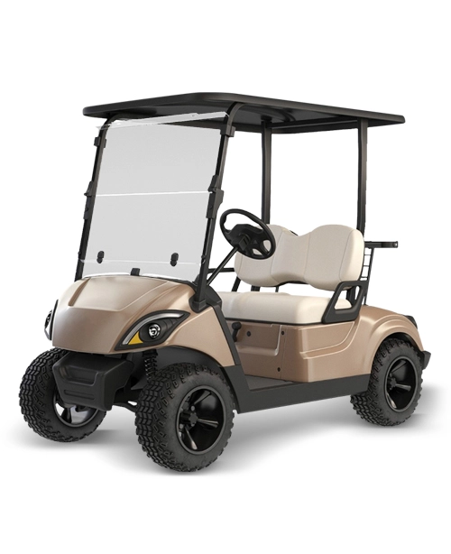 Best Electric Buggy Manufacturers India